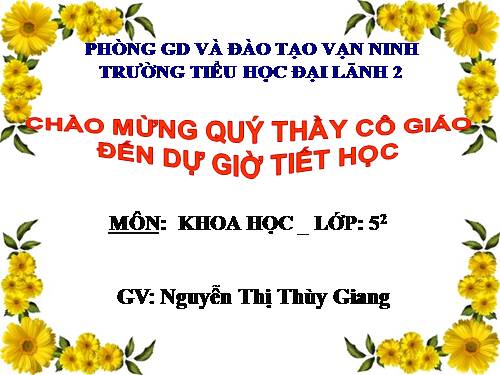 Bài 16. Phòng tránh HIV / AIDS