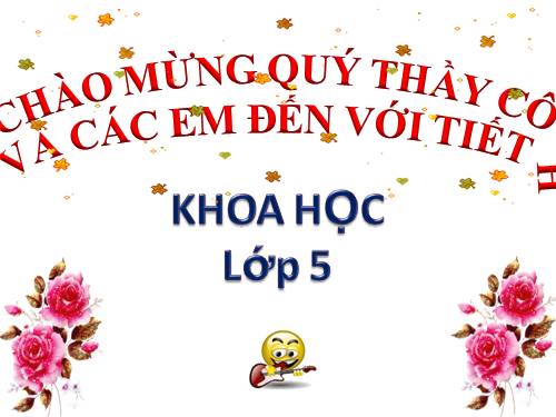 Bài 54. Cây con có thể mọc lên từ một số bộ phận của cây mẹ