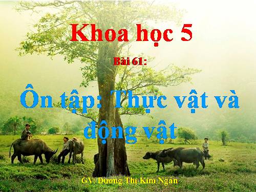 Bài 61. Ôn tập: Thực vật và động vật