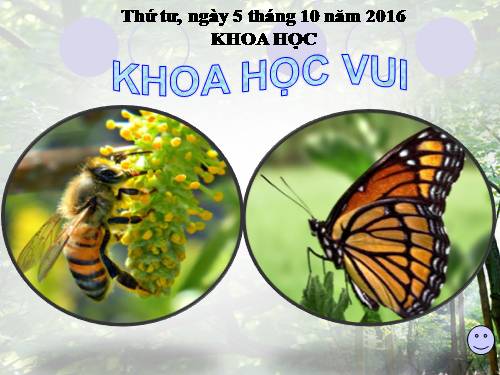 Bài 14. Phòng bệnh viêm não