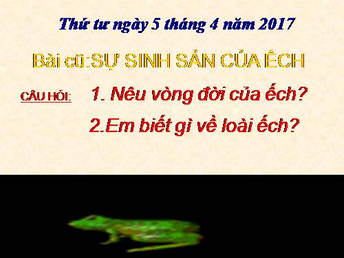 Bài 58. Sự sinh sản và nuôi con của chim