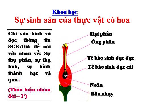 Bài 52. Sự sinh sản của thực vật có hoa