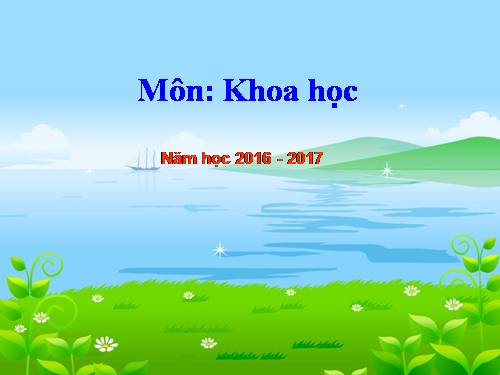 Bài 55. Sự sinh sản của động vật