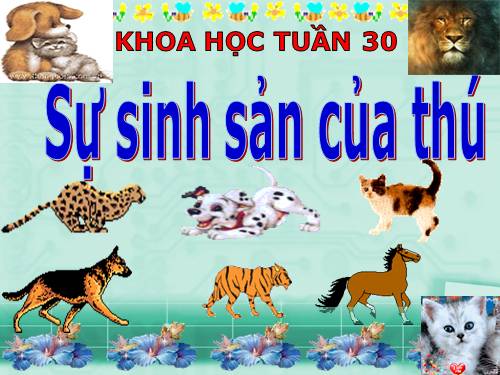 Bài 59. Sự sinh sản của thú