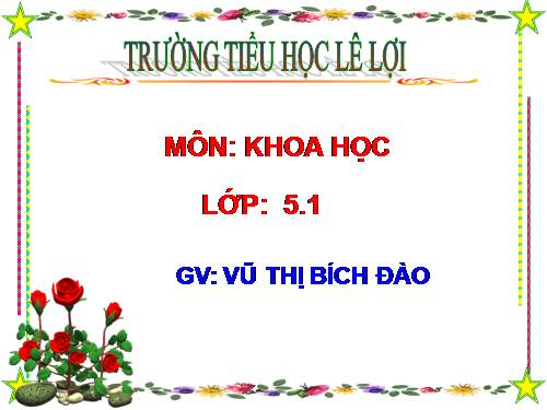 Bài 56. Sự sinh sản của côn trùng