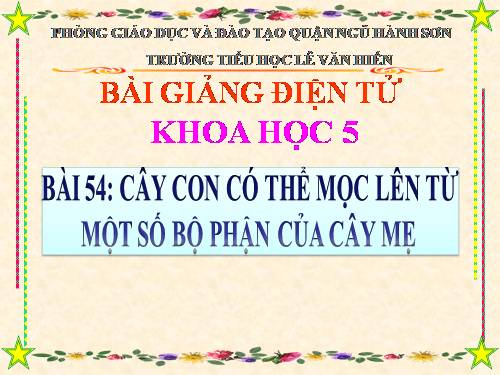 Bài 54. Cây con có thể mọc lên từ một số bộ phận của cây mẹ