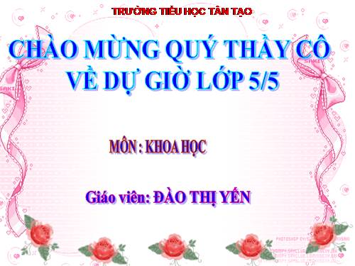 Bài 45. Sử dụng năng lượng điện