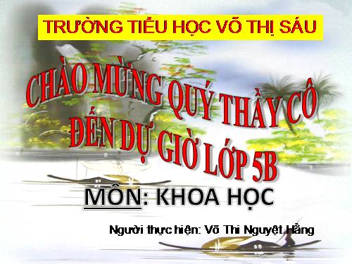 Bài 61. Ôn tập: Thực vật và động vật