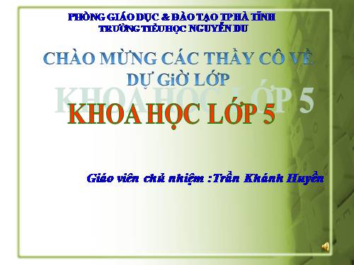 Bài 53. Cây con mọc lên từ hạt