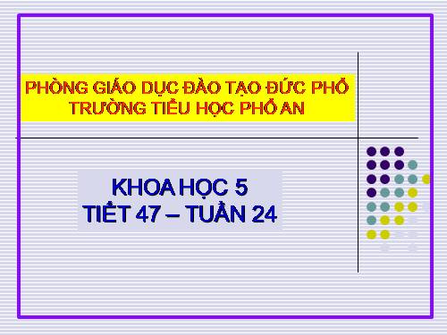 Bài 46-47. Lắp mạch điện đơn giản