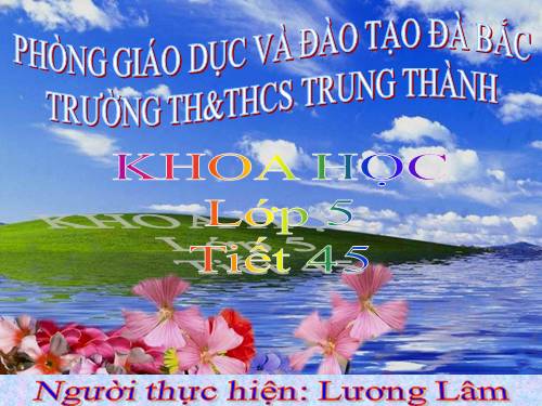 Bài 45. Sử dụng năng lượng điện