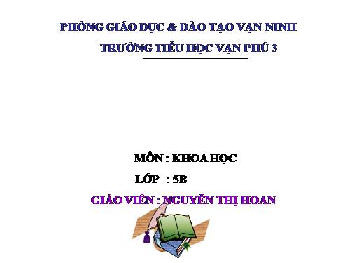 Bài 48. An toàn và tránh lãng phí khi sử dụng điện