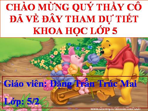 Bài 11. Dùng thuốc an toàn