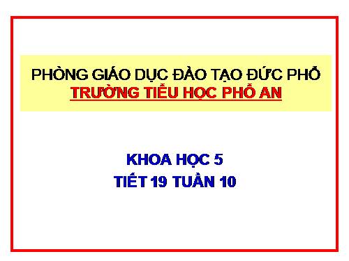 Bài 19. Phòng tránh tai nạn giao thông đường bộ