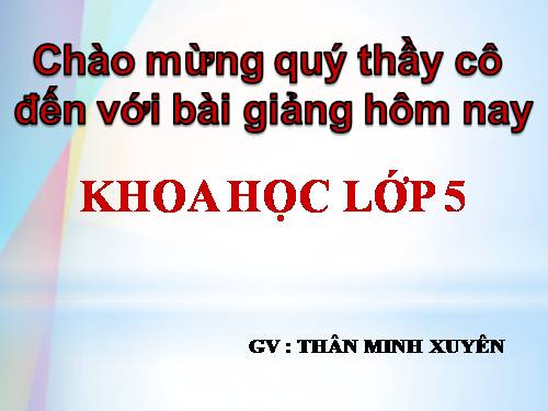 Bài 18. Phòng tránh bị xâm hại