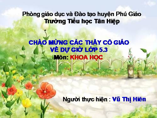 Bài 13. Phòng bệnh sốt xuất huyết