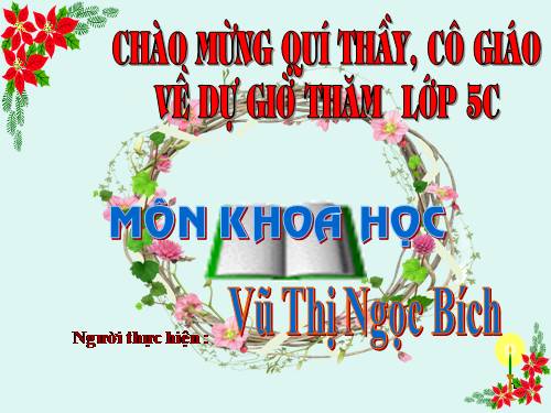 Bài 13. Phòng bệnh sốt xuất huyết