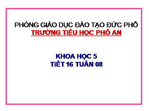 Bài 16. Phòng tránh HIV / AIDS