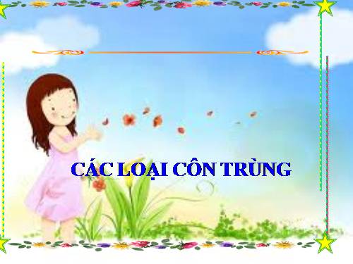 Bài 56. Sự sinh sản của côn trùng