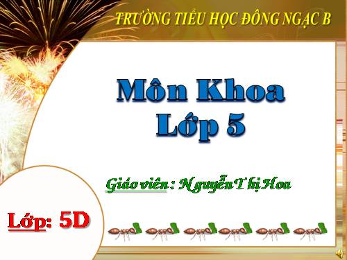 Bài 13. Phòng bệnh sốt xuất huyết