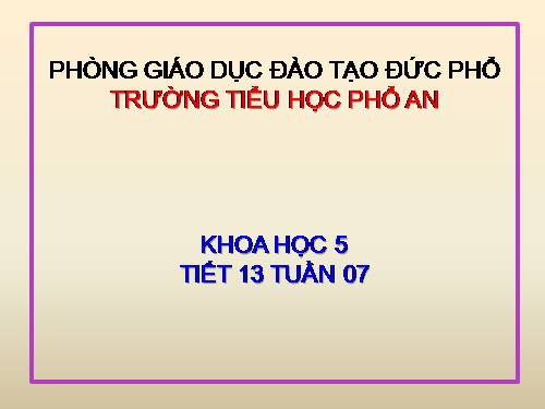 Bài 13. Phòng bệnh sốt xuất huyết