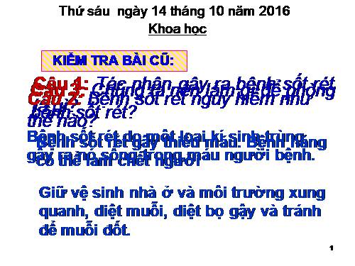 Bài 13. Phòng bệnh sốt xuất huyết