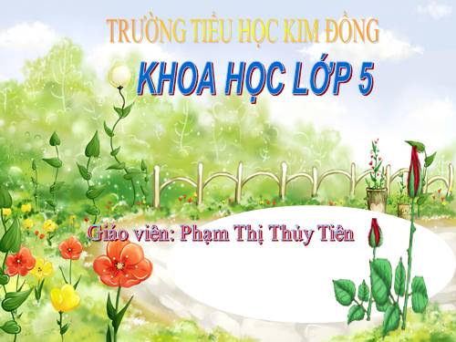 Bài 11. Dùng thuốc an toàn