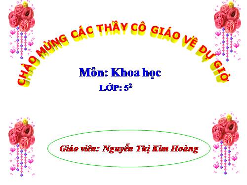 Bài 19. Phòng tránh tai nạn giao thông đường bộ