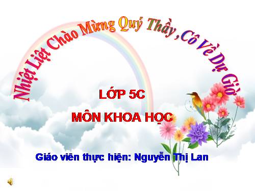 Bài 12. Phòng bệnh sốt rét