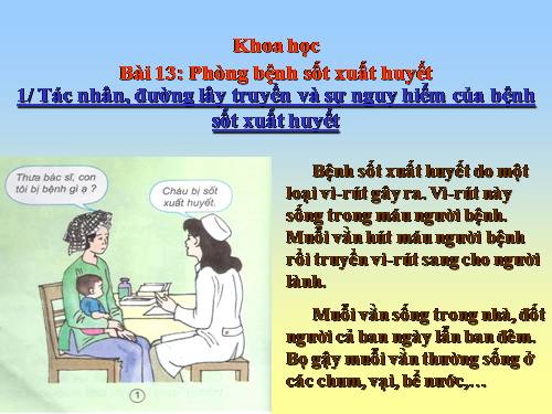 Bài 13. Phòng bệnh sốt xuất huyết