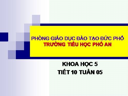 Bài 9-10. Thực hành: Nói "Không!" đối với các chất gây nghiện