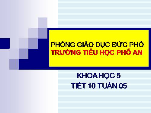 Bài 9-10. Thực hành: Nói "Không!" đối với các chất gây nghiện