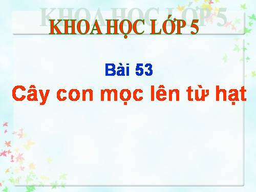 Bài 53. Cây con mọc lên từ hạt