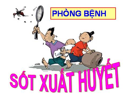 Bài 13. Phòng bệnh sốt xuất huyết