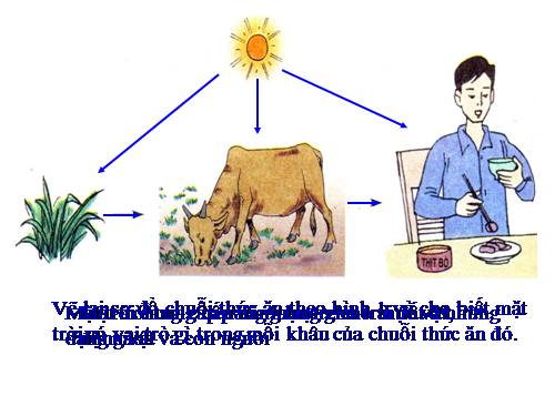 Bài 41. Năng lượng mặt trời