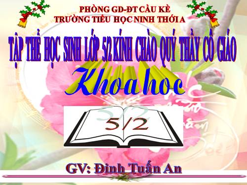 Bài 19. Phòng tránh tai nạn giao thông đường bộ