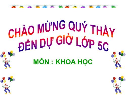 Bài 16. Phòng tránh HIV / AIDS