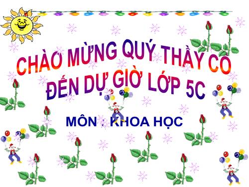 Bài 15. Phòng bệnh viêm gan A