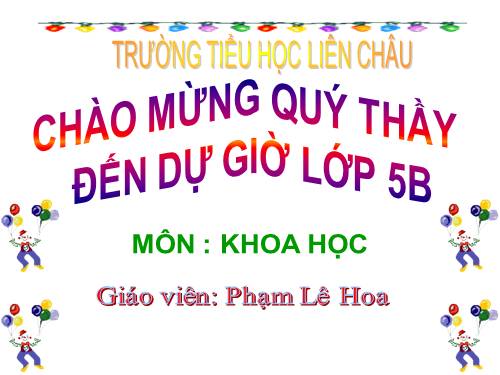 Bài 16. Phòng tránh HIV / AIDS