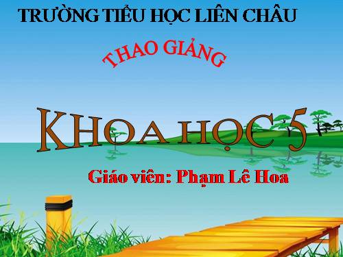 Bài 13. Phòng bệnh sốt xuất huyết