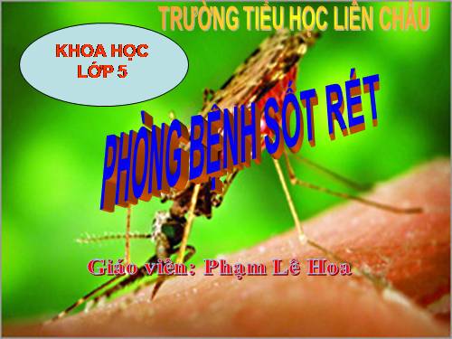 Bài 12. Phòng bệnh sốt rét