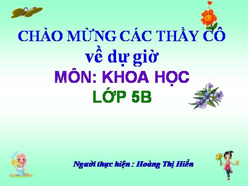 Bài 38-39. Sự biến đổi hóa học