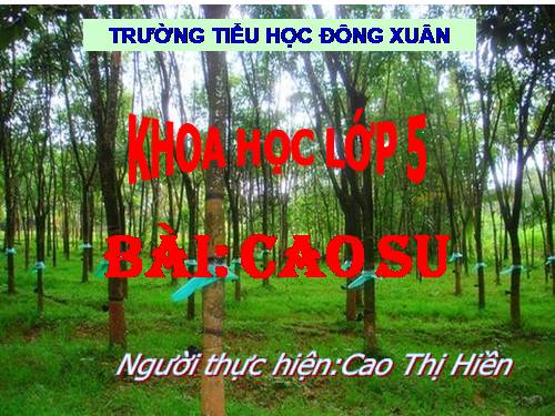 Bài 29. Thuỷ tinh