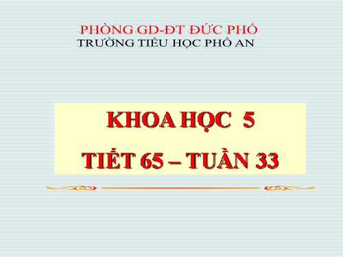 Bài 65. Tác động của con người đến môi trường rừng