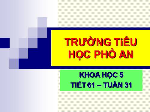 Bài 61. Ôn tập: Thực vật và động vật