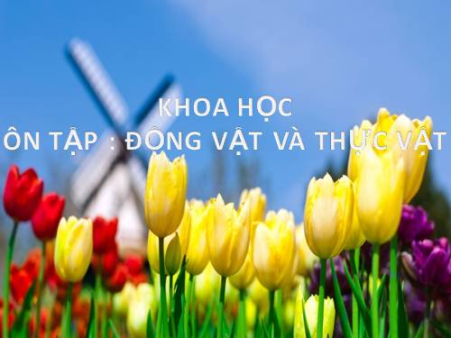 Bài 61. Ôn tập: Thực vật và động vật