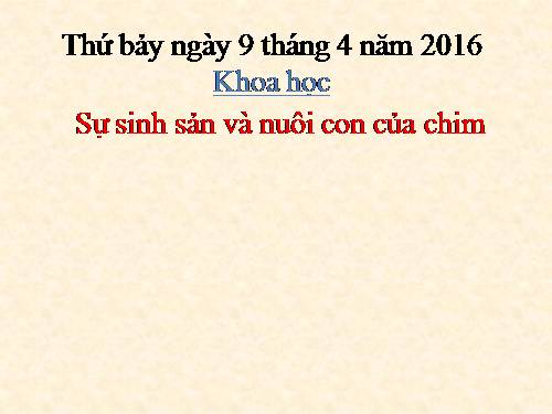 Bài 58. Sự sinh sản và nuôi con của chim