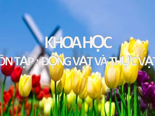 Bài 61. Ôn tập: Thực vật và động vật