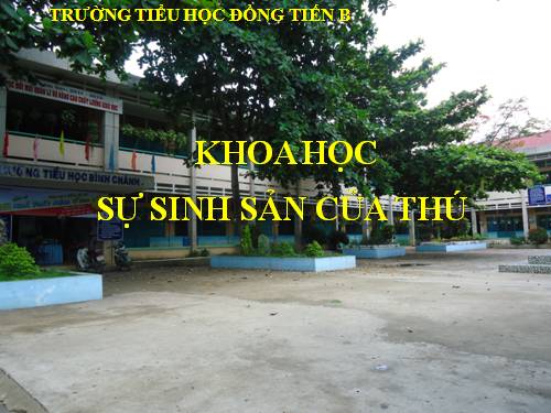 Bài 59. Sự sinh sản của thú