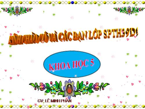 Bài 19. Phòng tránh tai nạn giao thông đường bộ